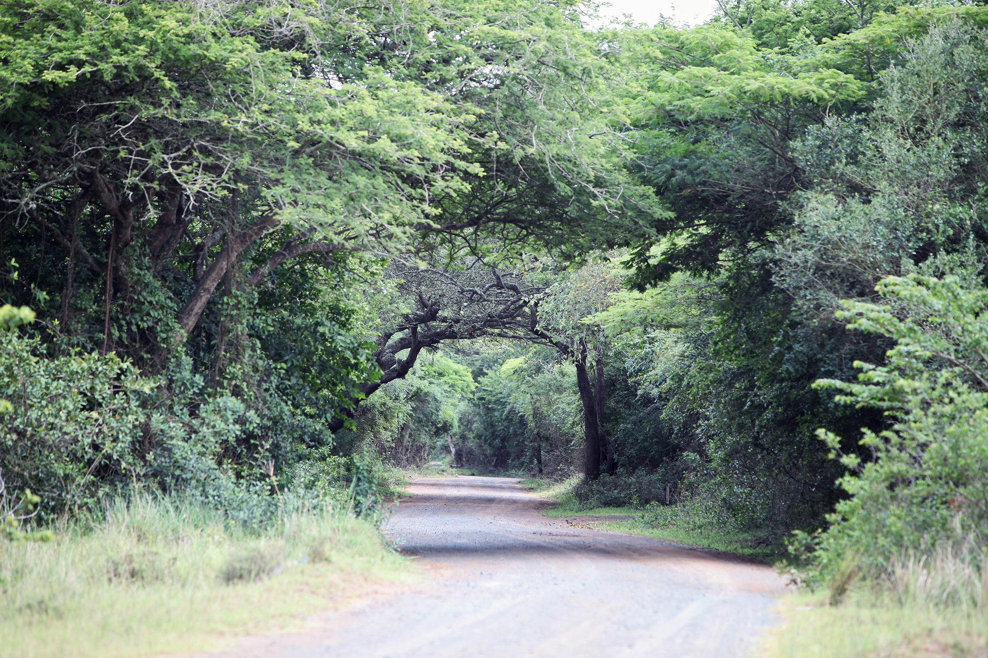 Emdoneni Lodge Hluhluwe Exterior foto